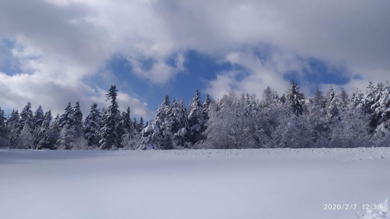 Agroturystyka Chata Za Wsia Uscie Gorlickie Exterior photo